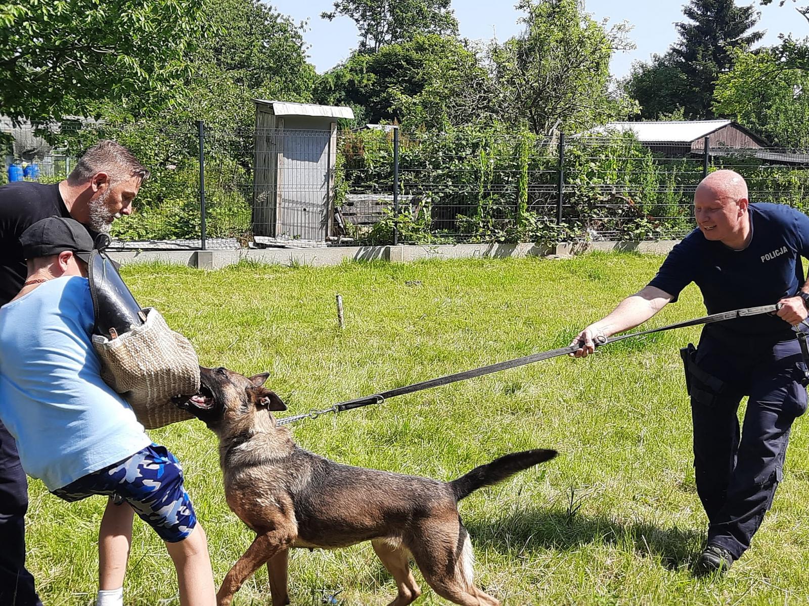 Festyn z okazji Święta Policji