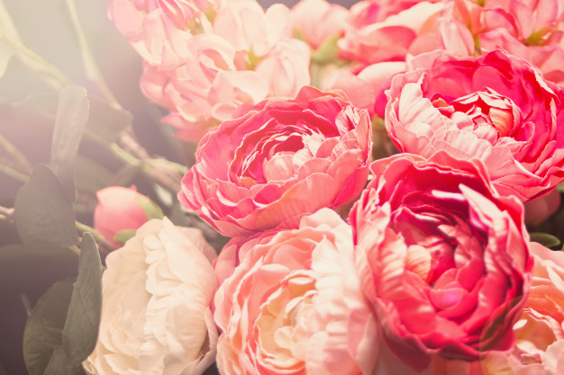 Najlepsze życzenia dla wszystkich MAM!