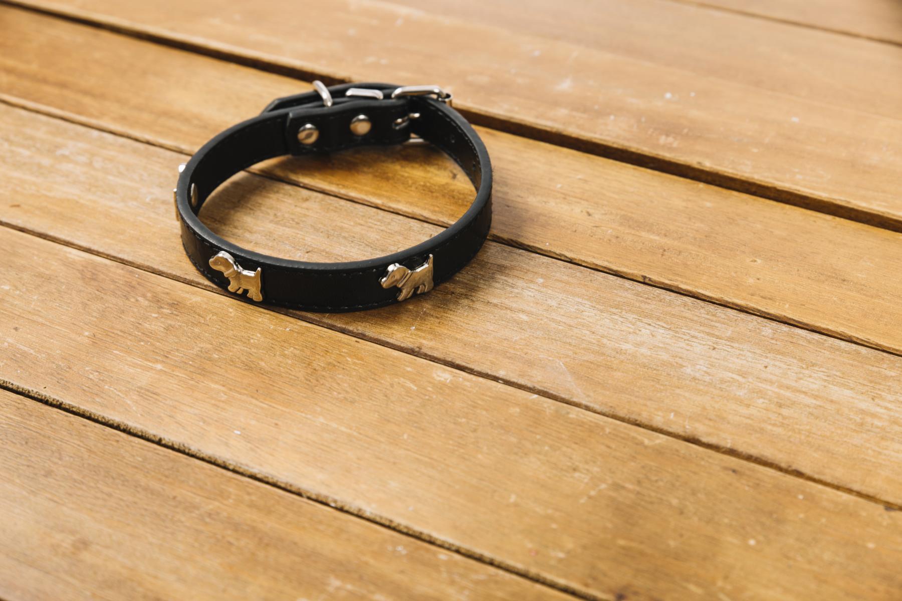 Placówka Wsparcia nr 2 prowadzi zbiórkę obroży i smyczy