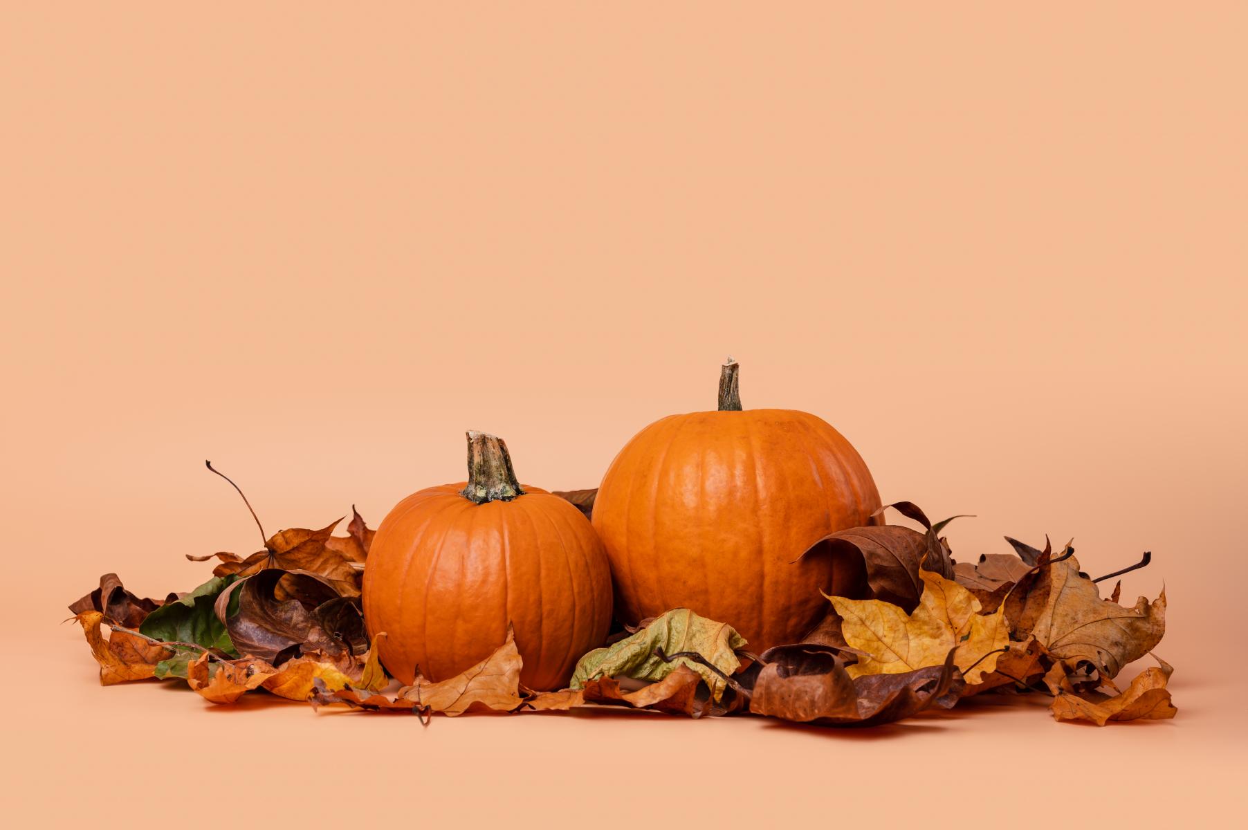 Jesienna Zadynia II - zapraszamy już 07.10 br.